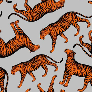 Tigers (Grey and Orange)