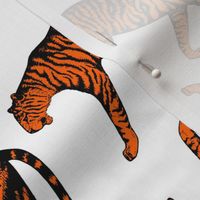 Tigers (White and Orange)