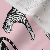 Tigers (Pink and White)