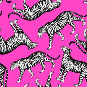Tigers (Magenta and White)