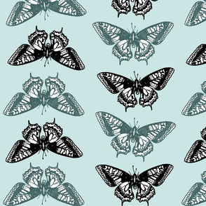 Pine & Mint Watercolor Butterflies with Black & White