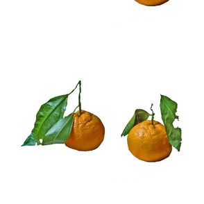 two mandarins