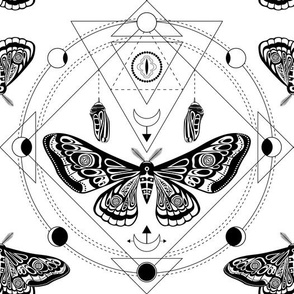Night moth 2. Sacred geometry