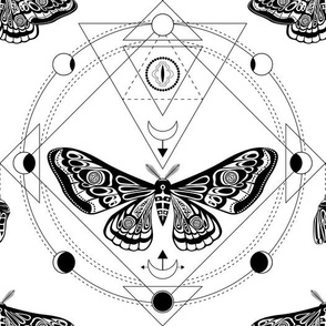 Night moth 3. Sacred geometry