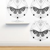 Night moth 5. Sacred geometry