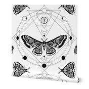 Night moth 6. Sacred geometry