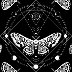 Night moth 7. Sacred geometry