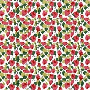 Strawberries in Cerise and Green  (Mini Print)