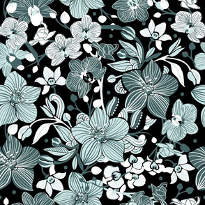 Orchids | black mint