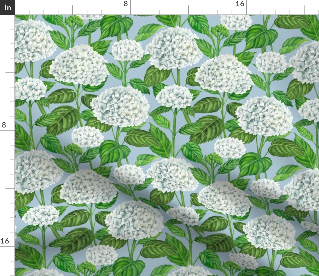 White hydrangea flowers on soft blue, watercolor