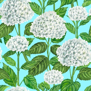 White hydrangea watercolor blue 2