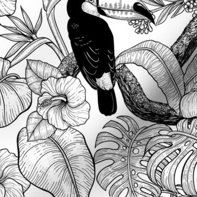 Toucan garden toile