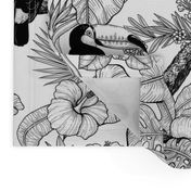 Toucan garden toile