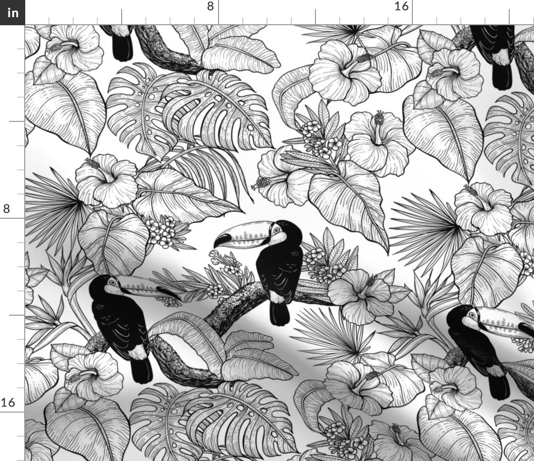 Toucan garden toile