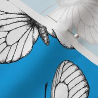 White butterfly pattern on blue