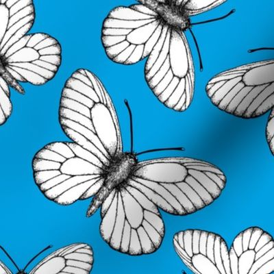 White butterfly pattern on blue