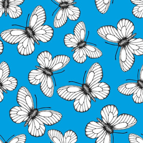 White butterfly pattern on blue