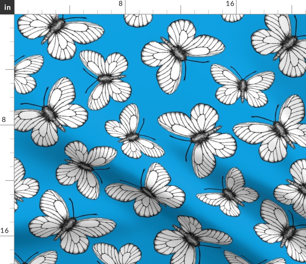 White butterfly pattern on blue