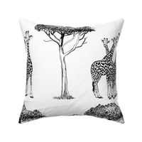 Giraffe family in black and white