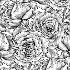 Roses in black and white, seamless vector pattern