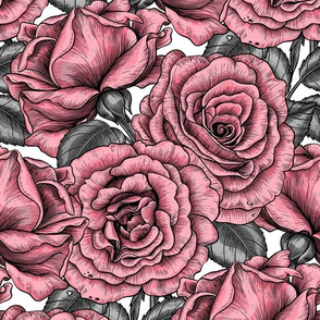 Pink roses, seamless vector pattern