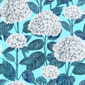 White hydrangea watercolor blue