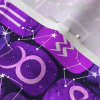 Zodiac Symbols in Purple
