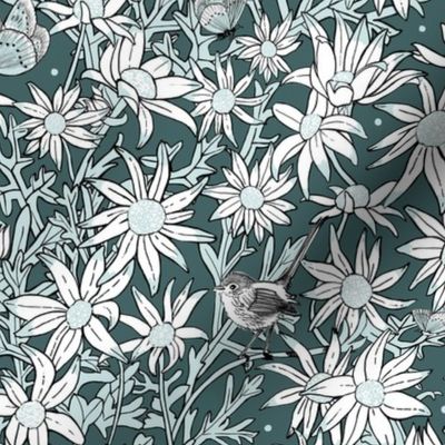 Superb Flannel Flowers - Larger scale