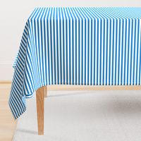 Bright Blue Stripes