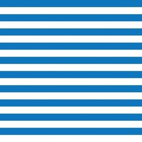 Bright Blue Stripes