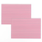 Fuchsia Stripes