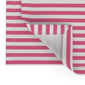 Fuchsia Stripes