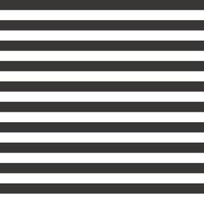 Dark Gray Stripes