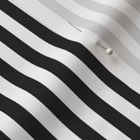 Black & White Stripes, Vertical