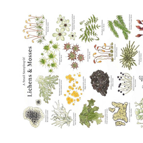 Lichens & Mosses Banner or Tea Towel