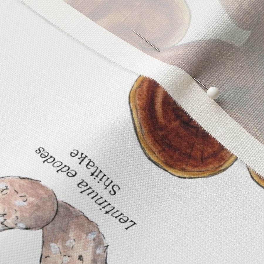 Useful Fungi Banner or Tea Towel