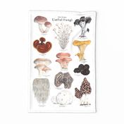 Useful Fungi Banner or Tea Towel