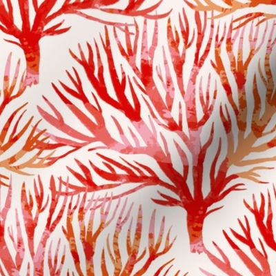 Coral branch red