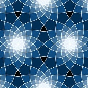 09794492 : SC3spiral : spoonflower0533