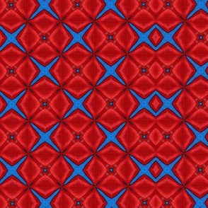 Red & Blue Kaleidoscope