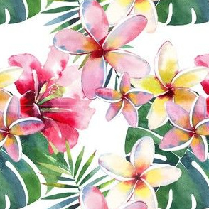 Plumeria Tropical Hawaiian Flowers-01