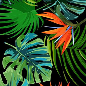 Tropical Bird of Paradise Palm Montera Black-01