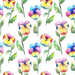 Floral seamless pattern with colorful watercolor pansies flowers on white