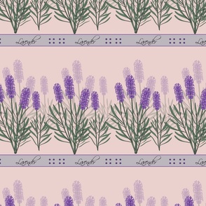 Lavender Flowers - Growing - Pink Background