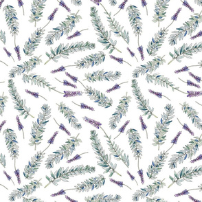 Lavender Floral Pattern