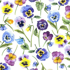 violets spring