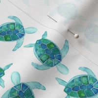 Green Sea Turtle White|Renee Davis