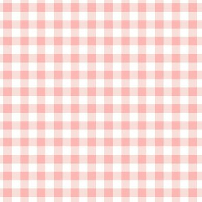 Gingham in Blush