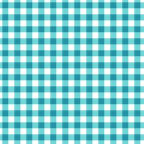 Gingham in Teal