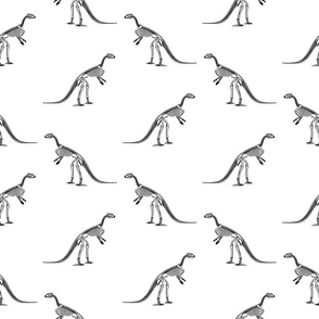 Dinosaur Skeletons Black & White Pattern